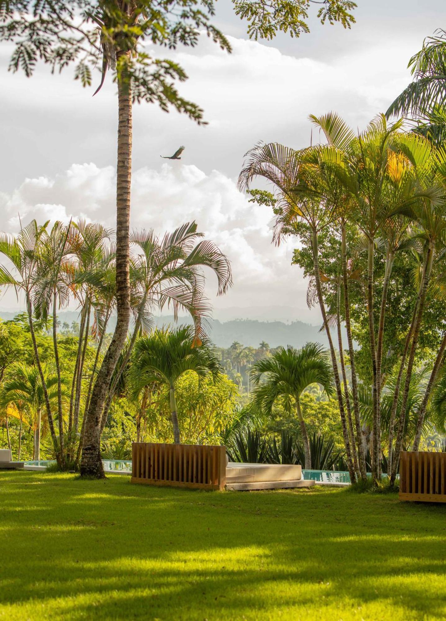 Oya - Wellness Eco Resort & Retreat Jamao al Norte Exterior foto